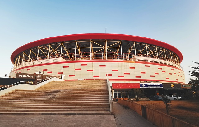 们除了必须 们除了必须