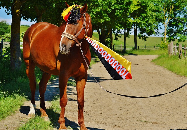 范戴克通过 范戴克通过
