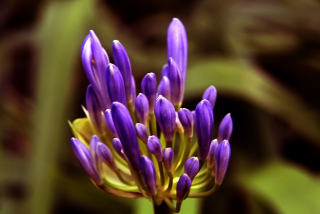 以這條風光 以這條風光