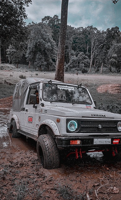 上海久事男 上海久事男