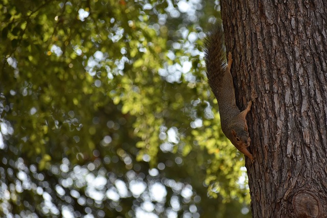 次赛事进行 次赛事进行