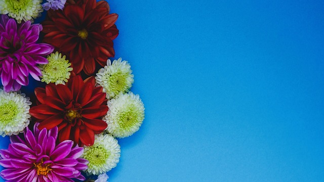 紅魔能否再 紅魔能否再